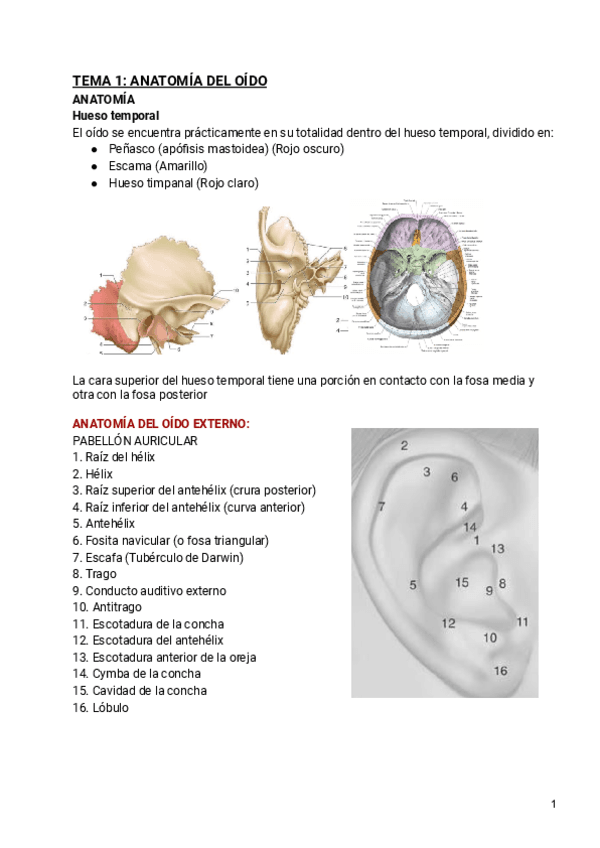 ORL.pdf