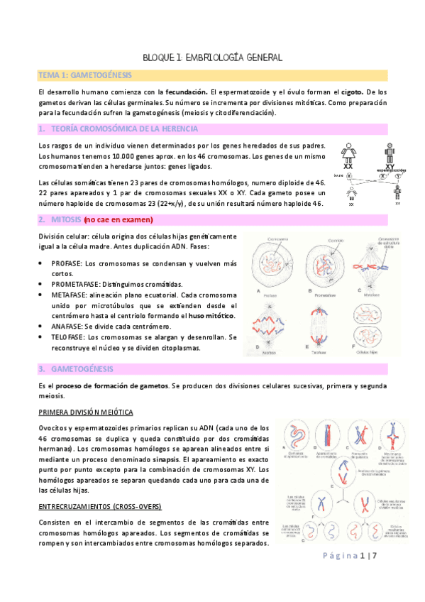 TEMA-1-EMBRIOLOGIA.pdf