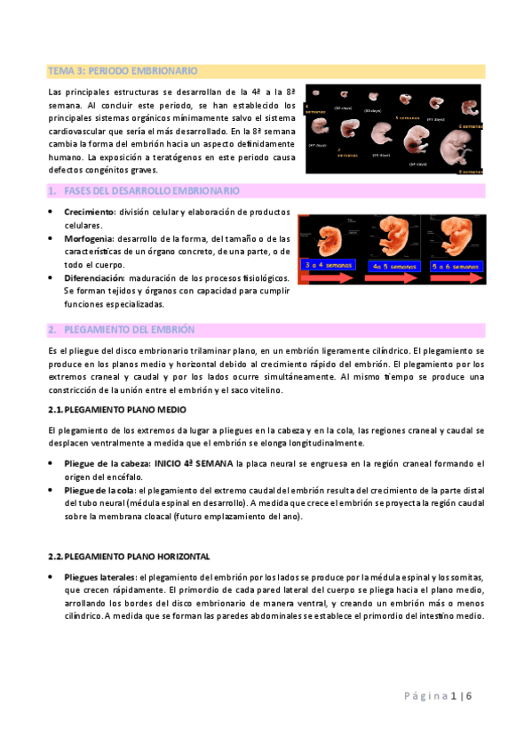 TEMA-3-EMBRIOLOGIA.pdf