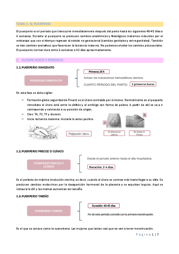 TEMA-1-PUERPERIO.pdf