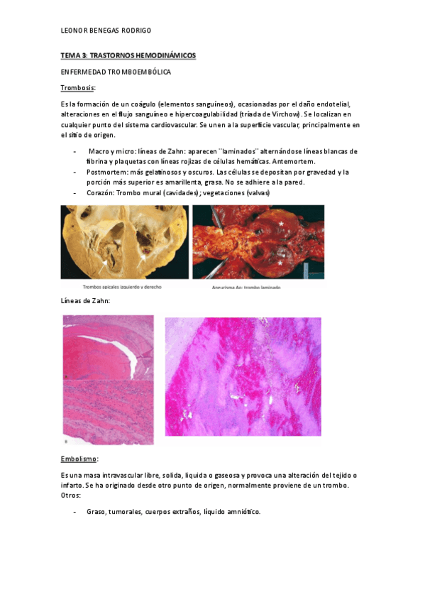 TEMA-3.pdf