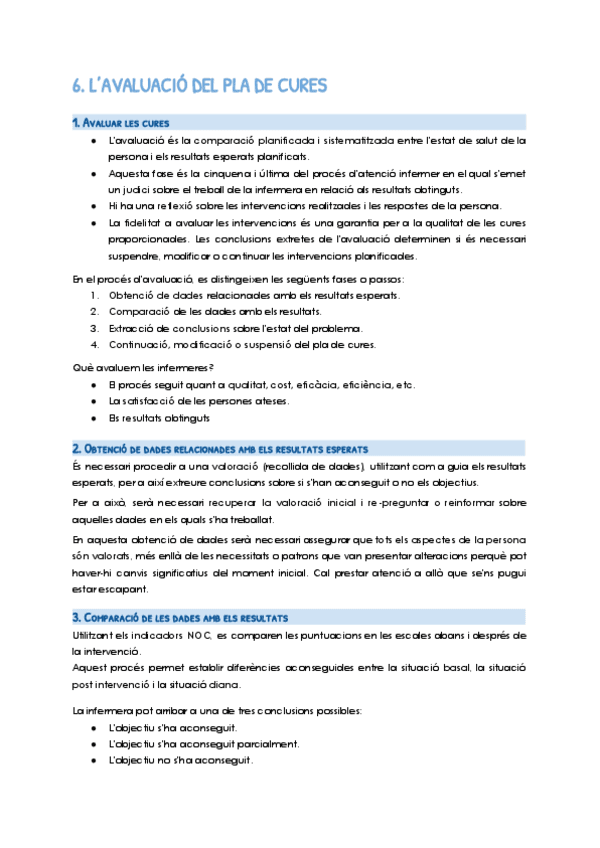 06.-Lavaluacio-del-pla-de-cures-Documentos-de-Google.pdf