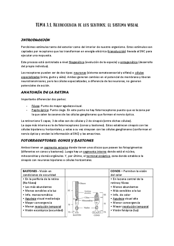 3.1.-NEUROCIENCIA-DE-LOS-SENTIDOS-LA-VISTA.pdf