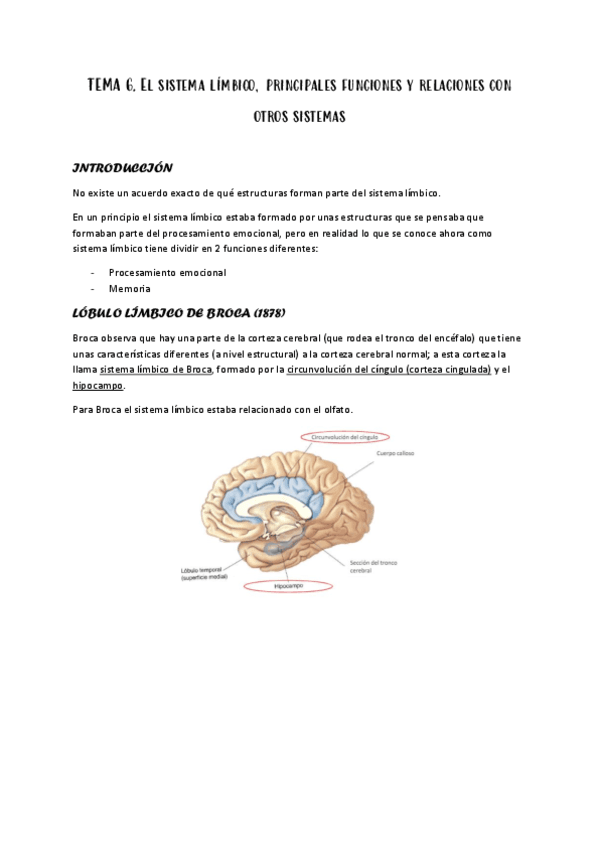 6.-EL-SISTEMA-LIMBICO.pdf