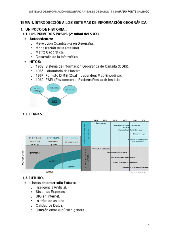 TEMA-1-SIGYBD.pdf