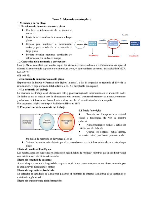 Tema-3-Memoria.pdf