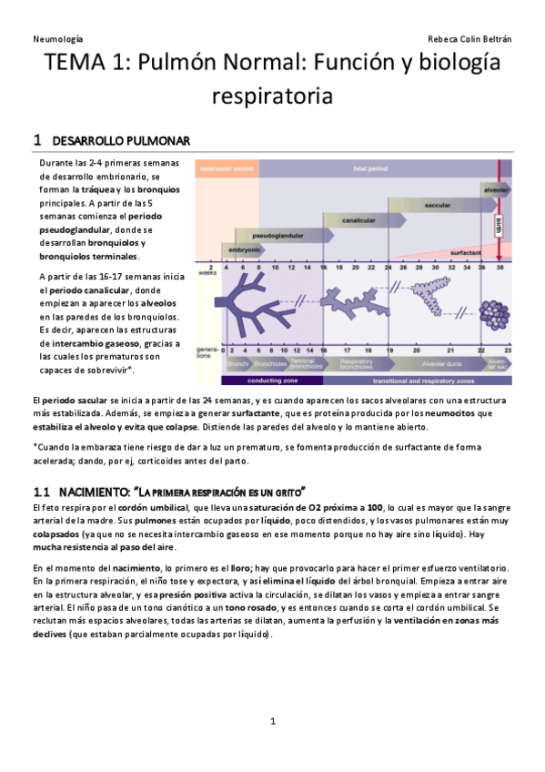 TEMA-1-RESPIRATORIO-LIMPIO.pdf