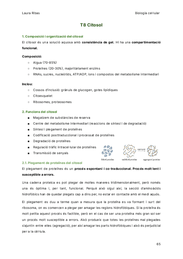 T8-Citosol.pdf