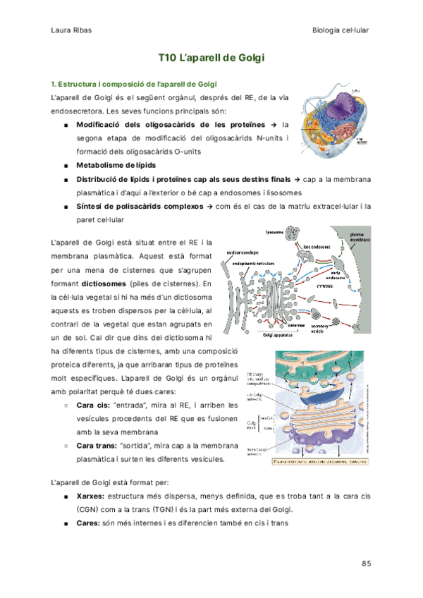 T10-Laparell-de-Golgi.pdf