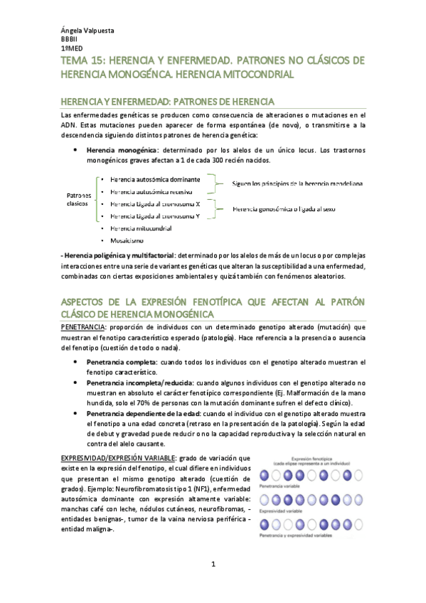 TEMA-15-bq.pdf