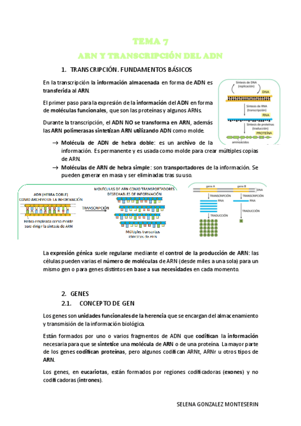 TEMA-7.-RNA-Y-TRANSCRIPCION-PDF.pdf