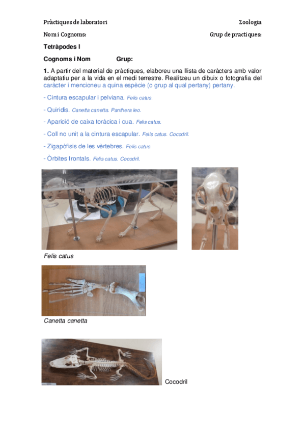 16.-Tetrapodes-I.pdf