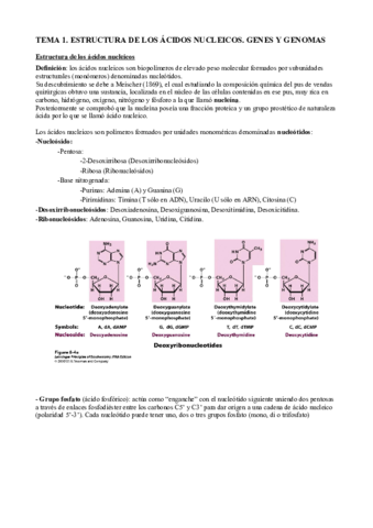 TEMA 1 GENETICA.pdf