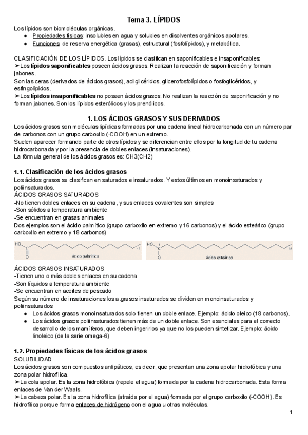 2.-Lipidos.pdf