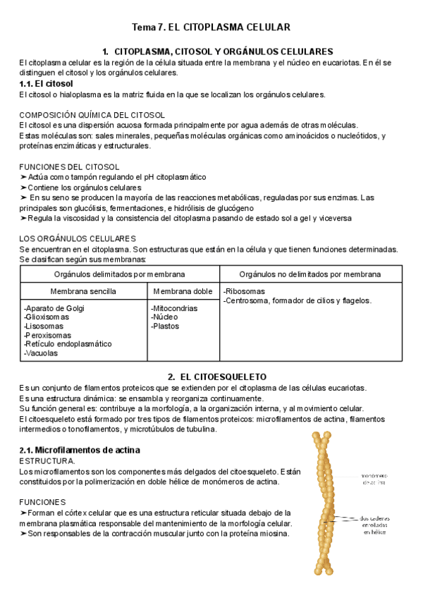 6.-Citoplasma-celular.pdf