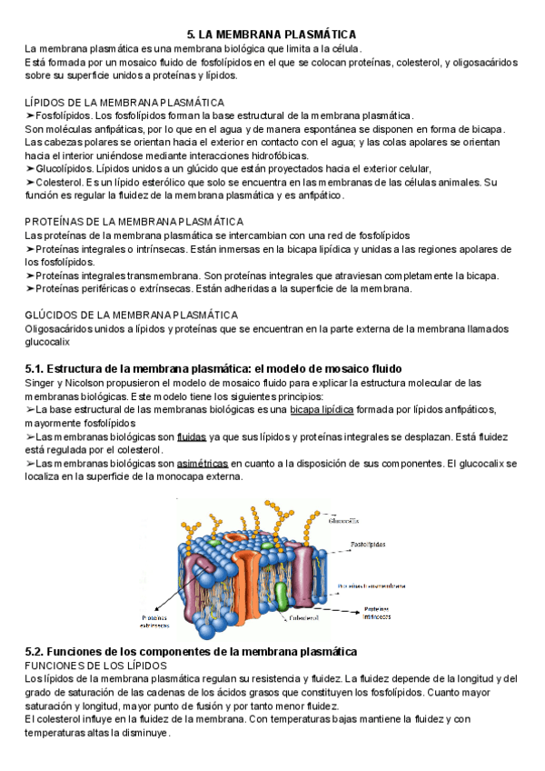 5.-Membrana-plasmatica-y-Cubiertas-celulares.pdf