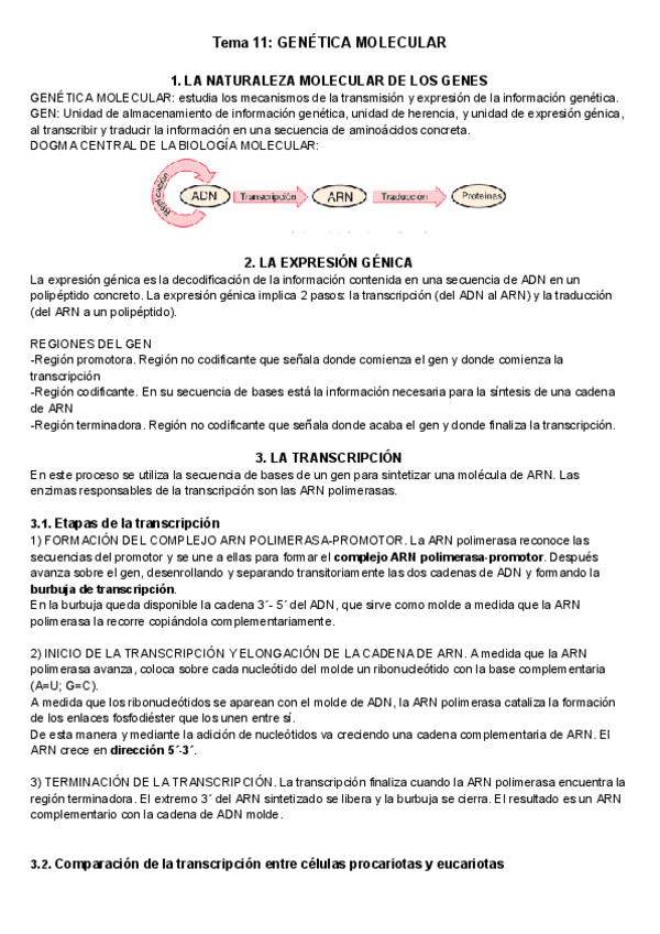 11.-Genetica-molecular.pdf