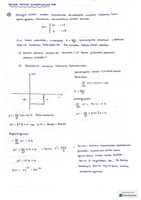 NUKLEOI-NUKLEOI-ARIKETAK.pdf