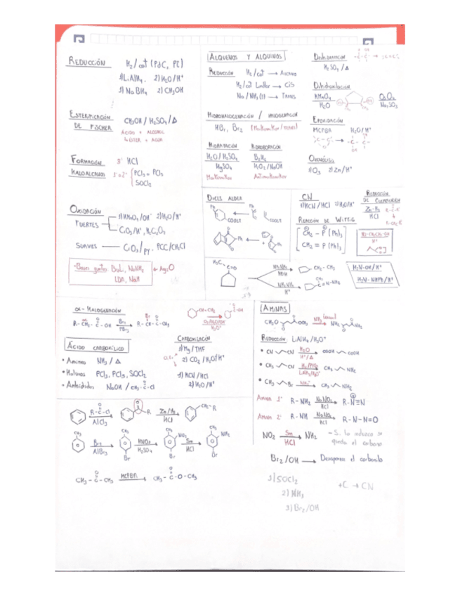 RESUMEN--EXAMENES.pdf