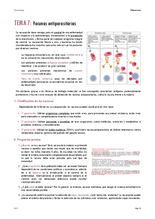 TEMA-7.pdf