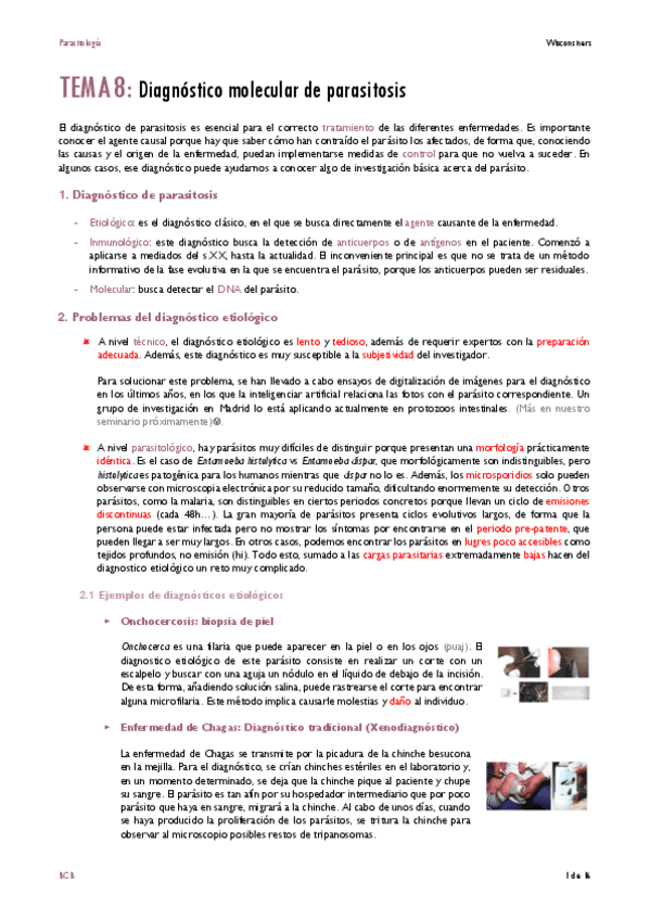 TEMA-8.pdf