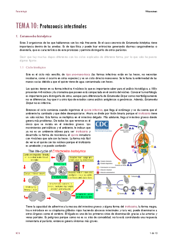 Tema-10.pdf