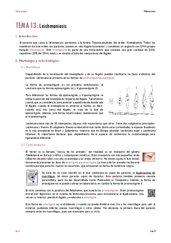 TEMA-13.pdf