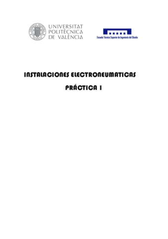Práctica 1 PNEUSIM.pdf