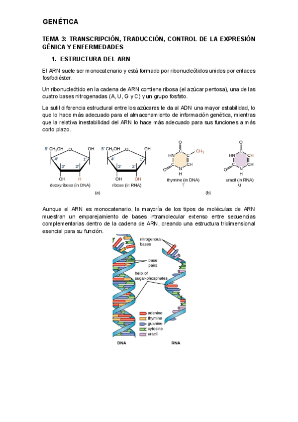 tema-3.pdf