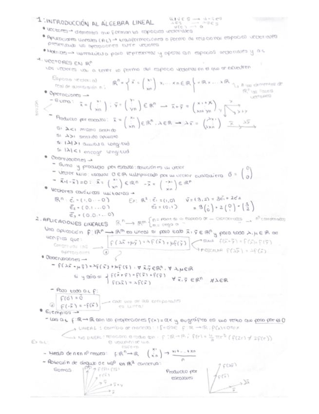 1.INTRODUCCION-AL-ALGEBRA-LINEAL.pdf