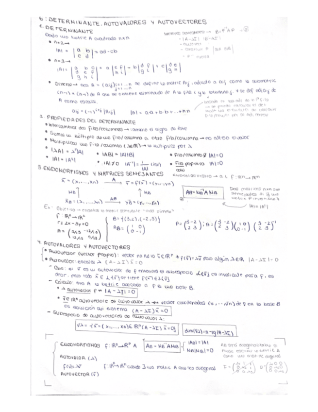 6.DETERMINANTE.AUTOVALORES-Y-AUTOVECTORES.pdf
