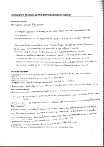 Informe Prácticas 2018-2019.pdf