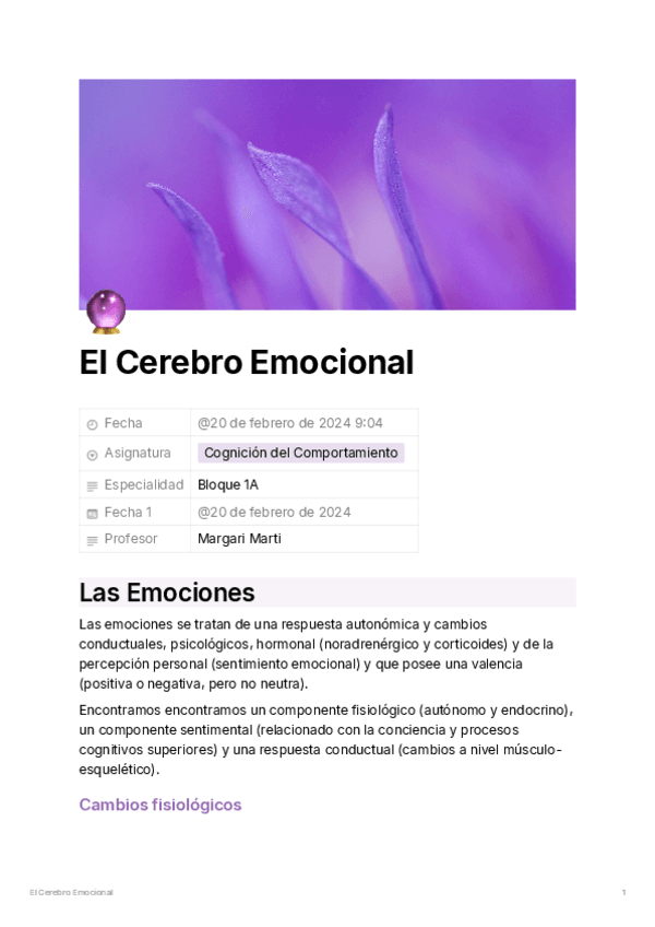 185beae8-0f37-442a-9101-19bc20a8b95cElCerebroEmocional.pdf