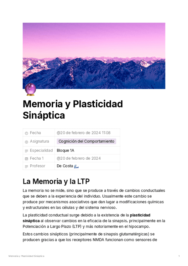 3711e026-7ee7-4e80-a98d-3e702e69d26eMemoriayPlasticidadSinptica.pdf