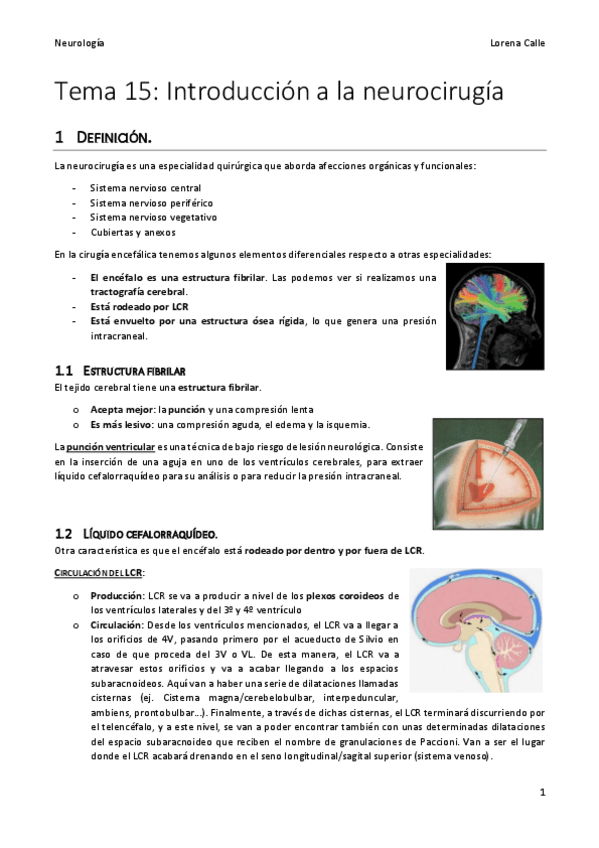 Tema-15-neuro-REVISADO.pdf