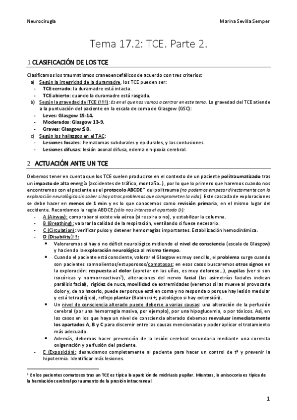 Tema-17.2.pdf