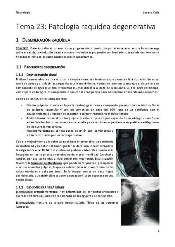 Tema-23-Neuro-REVISADO.pdf