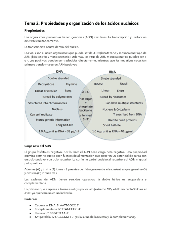 Tema 2: Propiedades y organización de los ácidos nucleicos.pdf
