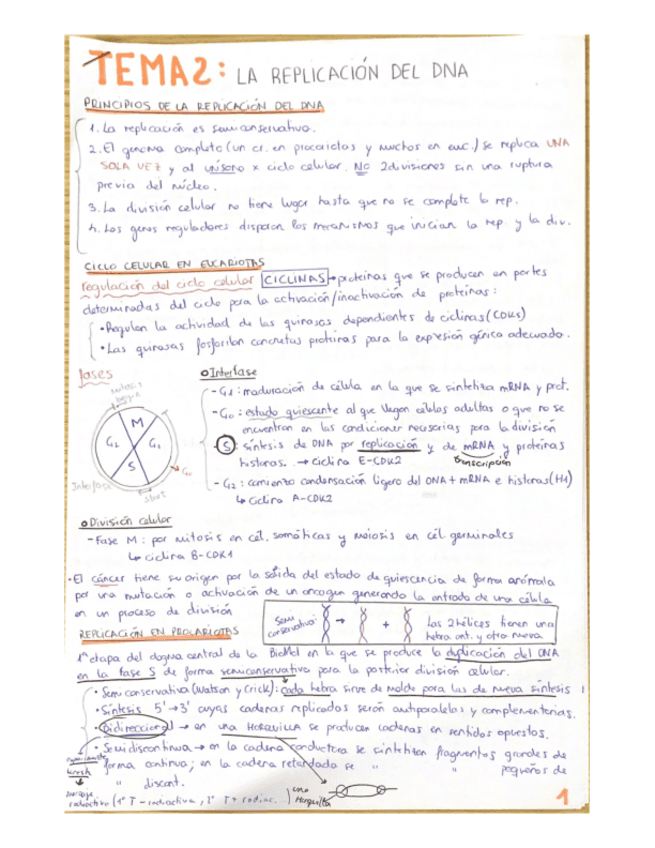 BIOLOGIA-MOLECULAR-TEMA-2.pdf
