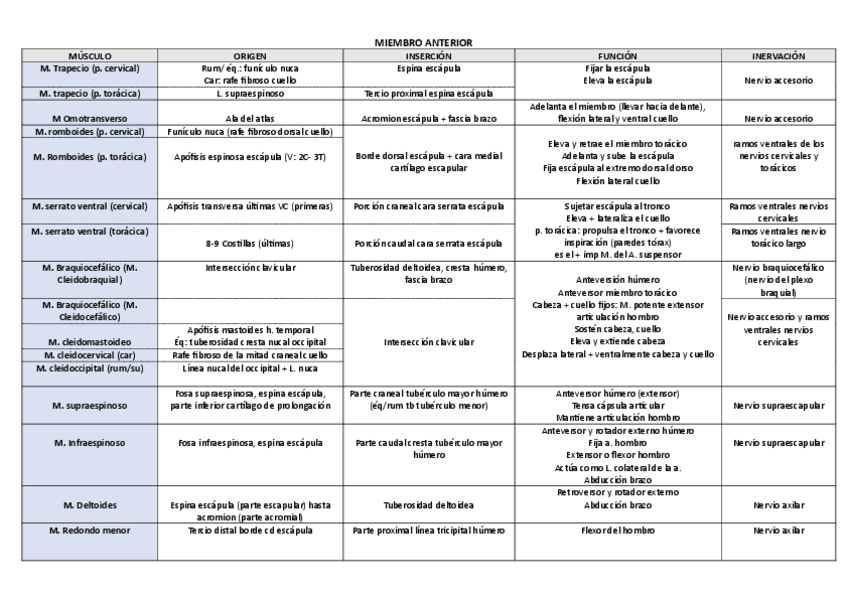 INSERCION-ORIGEN-FUNCION-INERVACION-MIEMBRO-ANTERIOR.pdf