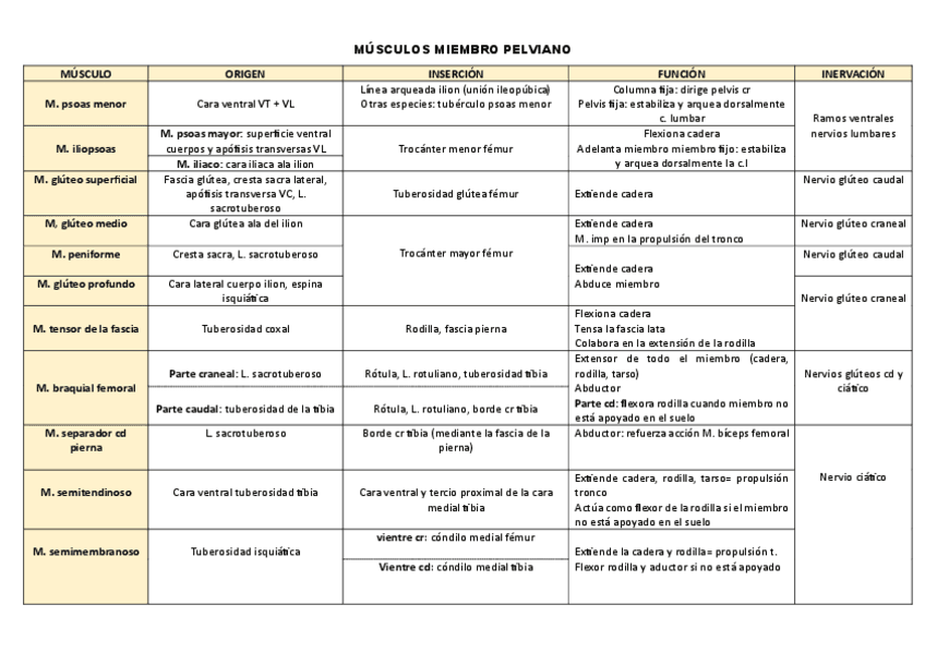 INSERCION-ORIGEN-FUNCION-INERVACION-MIEMBRO-POSTERIOR.pdf