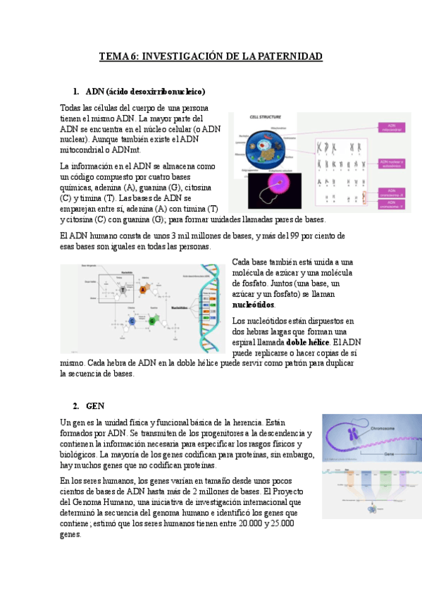 TEMA-6.pdf