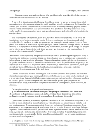 Ensayo tema 3.pdf