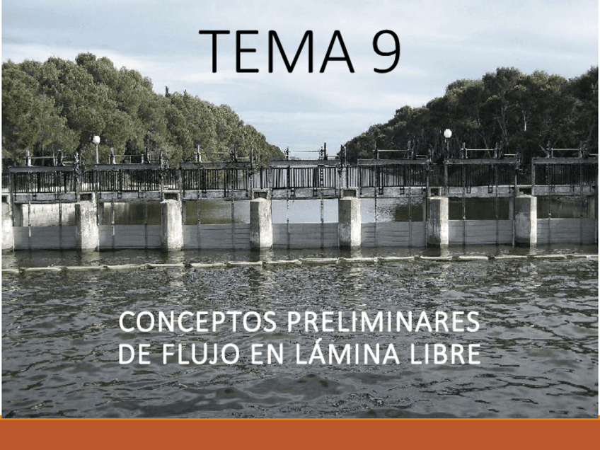 TEMA-9FLUJO-EN-REGIMEN-LIBRE.pdf