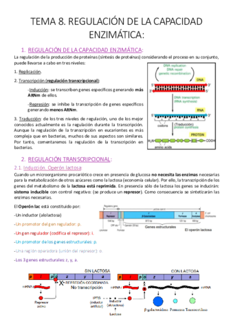 Tema 8. Regulación de la capacidad enzimática..pdf