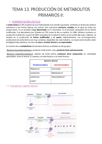Tema 13. Producción de metabolitos primarios II..pdf