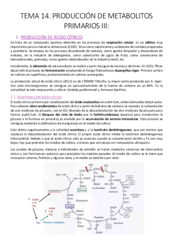 Tema 14. Producción de metabolitos primarios III..pdf