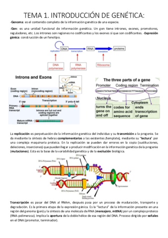 Tema 1. Introducción de genética..pdf