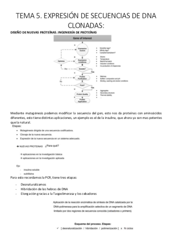 Tema 5. Expresión de secuencias de DNA clonadas..pdf