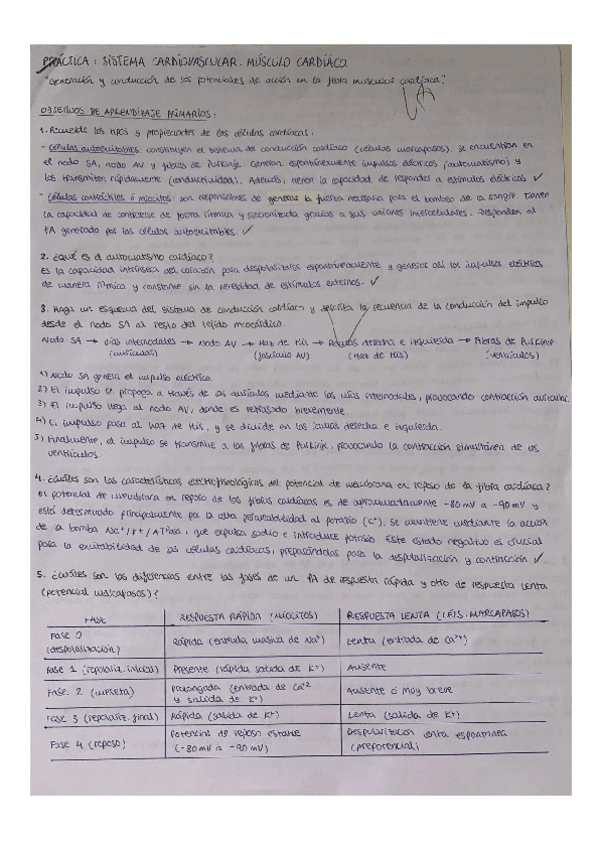 Prácticas 3 Y 4 Corregidas 24 25 Pdf